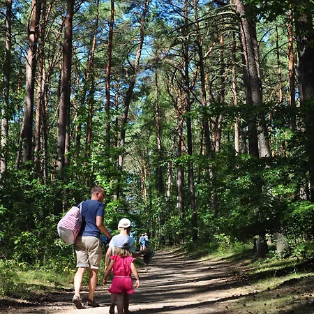 Villa Ra With Garden And Sauna At The Baltic Sea
